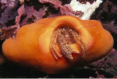 《死亡回归》开发商打造3A动作游戏 使用虚幻引擎