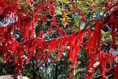 Switch 2023年上半年游戏下载量排名：王国之泪第一